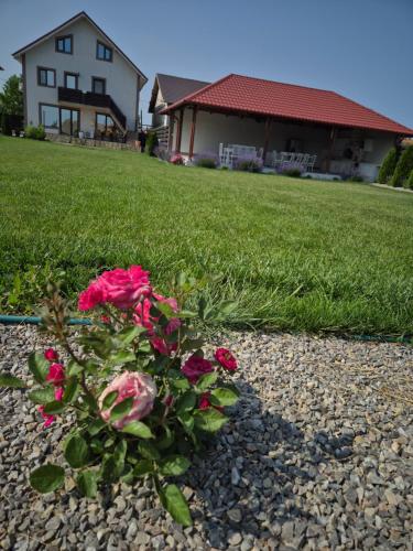 Zahrada ubytování CASA RIZEA