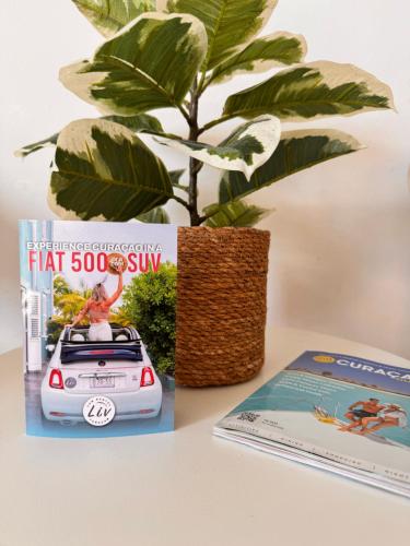 a book and a plant on a table next to a car at Boutique Hotel & apartments JT Curaçao in Willemstad