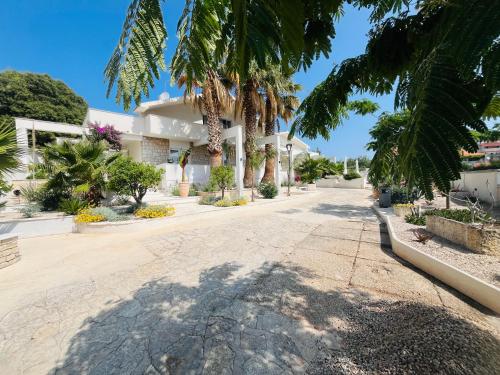 an empty street in front of a house with palm trees at Apartments and Rooms Mateša in Vodice