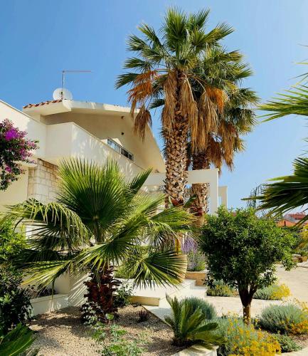 a building with a palm tree in front of it at Apartments and Rooms Mateša in Vodice