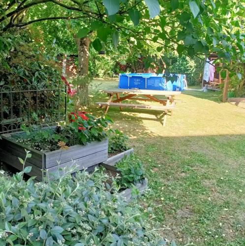 Chambre cosy avec salle de bain privative