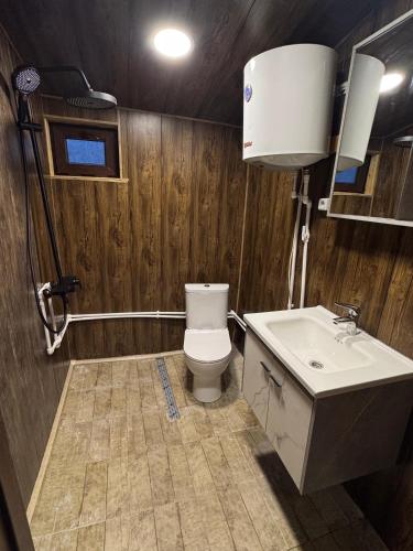 a bathroom with a toilet and a sink at Cottages in Chirdili in Chirdili