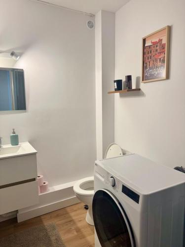 La salle de bains est pourvue de toilettes et d'un lave-linge. dans l'établissement Élégant duplex dans le centre historique, à Limoges