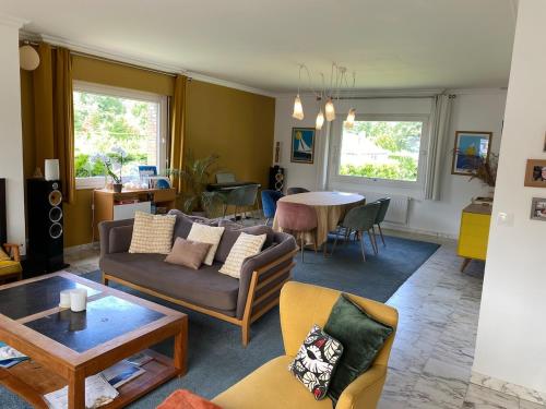 Villa avec un grand jardin