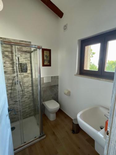 a bathroom with a shower and a toilet and a sink at Cascina Il Dovese in Gabiano