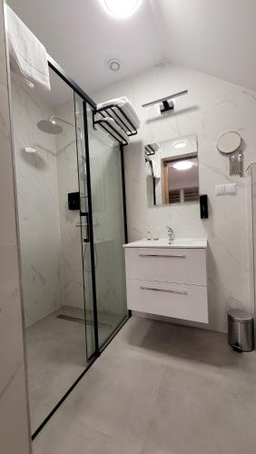 a bathroom with a shower and a sink and a mirror at Wiślana 4 in Spytkowice