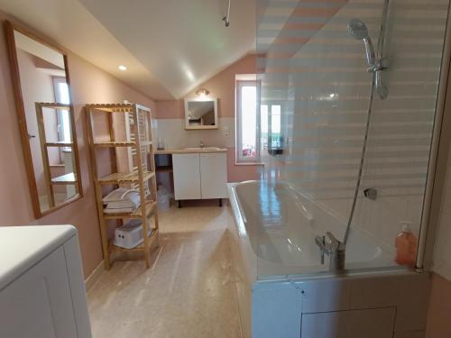 a bathroom with a shower and a tub and a sink at VILLAS-DU-LAC Appartements de vacances et Espace Spa privé in Clairvaux-les-Lacs