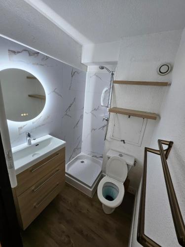 une petite salle de bain avec toilettes et lavabo dans l'établissement Studio cosy au pied des pistes -centre Praz de Lys, à Taninges