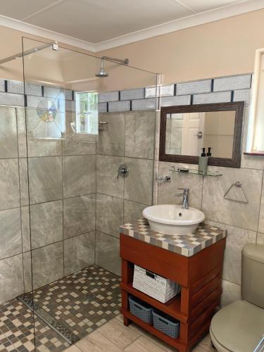 a bathroom with a sink and a shower at House of Art in Haenertsburg