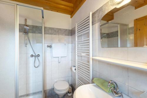 a bathroom with a shower and a toilet and a sink at Almhütte Laffaa in Rodengo
