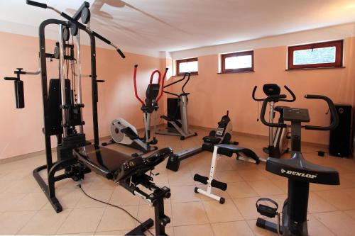 Imagen de la galería de Hotel Milena, en Milówka