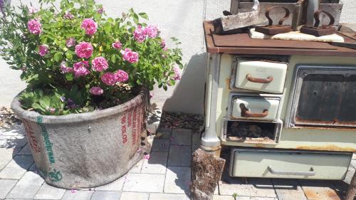 a pot of flowers sitting next to an old refrigerator at Landhaus Gräfendhron in Gräfendhron