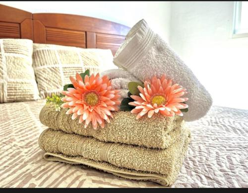 Apartamento Fabi beach Torrevieja photo 10