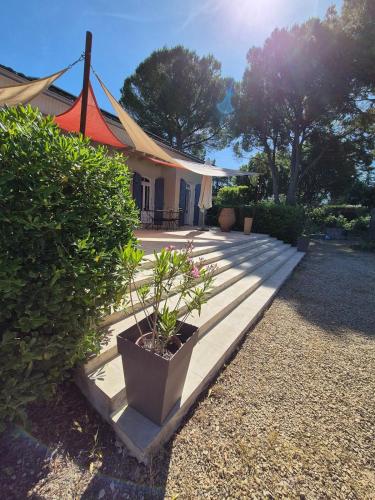 une terrasse couverte d'une maison avec une plante dans un pot dans l'établissement Maison familiale avec Mazet et grande piscine Uzès, à Uzès