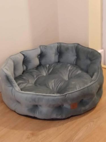 a grey dog bed sitting on a wooden floor at Dairy Cottage Courtyard accommodation in Bunmahon