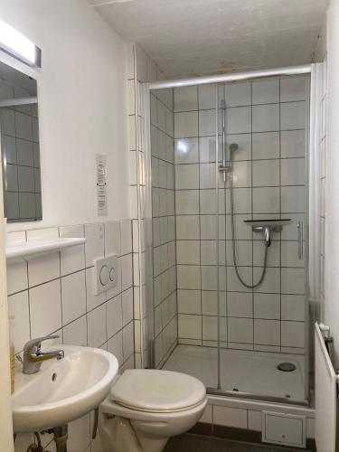 a bathroom with a shower and a toilet and a sink at Brahms 25 in Regensburg