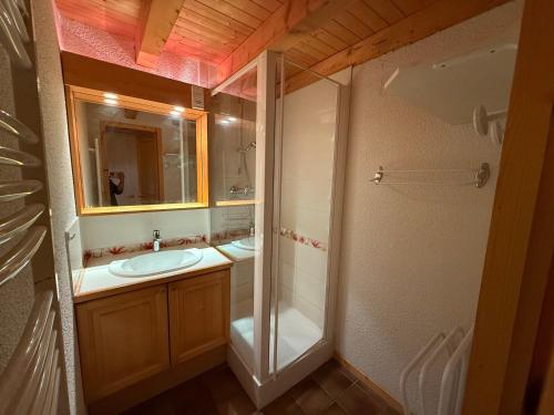 une salle de bain avec un lavabo, une douche et un miroir dans l'établissement Appart cosy 4-6 pers, balcon sud, animaux ok, Les Saisies - FR-1-293-133, aux Saisies
