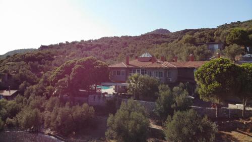 Ảnh trong thư viện ảnh của idaolea ASSOS ở Ayvacık