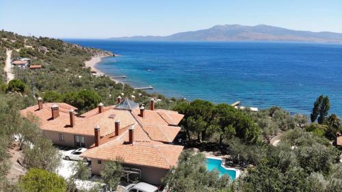 Ảnh trong thư viện ảnh của idaolea ASSOS ở Ayvacık