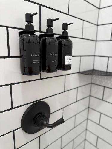 a bathroom with four soap bottles on a wall at Restful Remedy in Downtown & Historic Pilot Mountain Apartment in Pilot Mountain