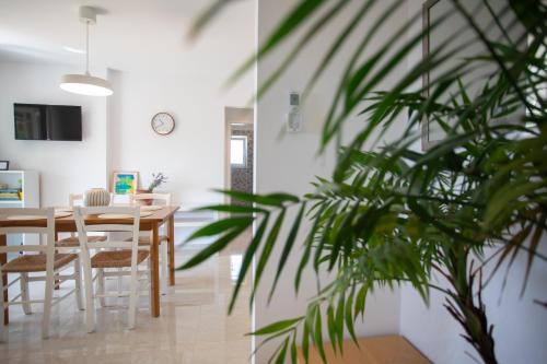 a dining room and living room with a table and a plant at Lemechi Casa Belfior Apartments in Rabac