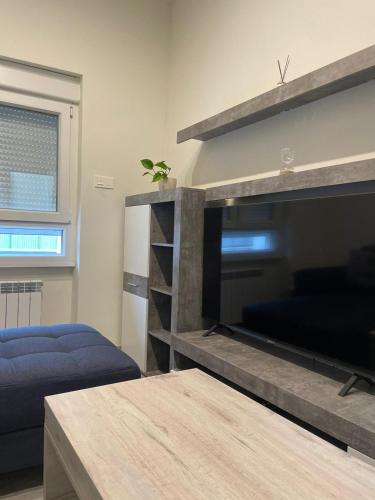 Televisyen dan/atau pusat hiburan di Adoracte 4 Mieres Apartamentos