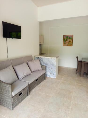 Una sala de estar con un sofá y un televisor. en Casa las palmas, en Tobia