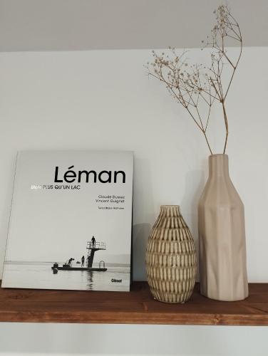 a book and a vase on a shelf next to a box at Au coucher du lac in Publier