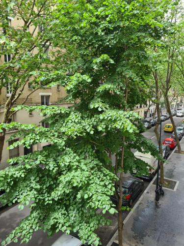 a large green tree on the side of a street at Appartement calme in Clichy