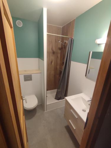 une salle de bain avec une douche, des toilettes et un lavabo dans l'établissement Chalet le Sauvageon, à Morillon