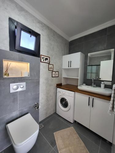 a bathroom with a toilet sink and a washing machine at Villa Da London in Dalaman