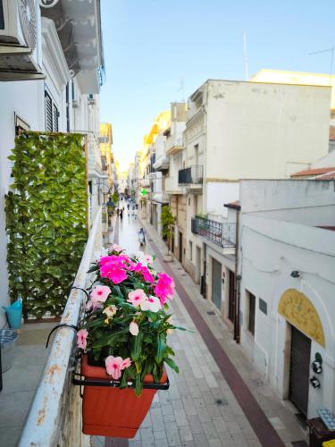 a flower pot on a balcony with pink flowers at Il Vicoletto in Pisticci