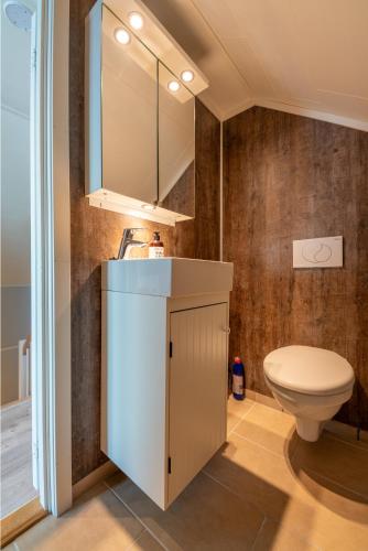 a bathroom with a sink and a toilet at Luxurious cabin by the waterfront in Leknes