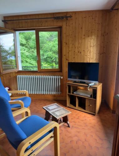 un salon avec une télévision et une chaise bleue dans l'établissement Borée, à Thollon-les-Mémises