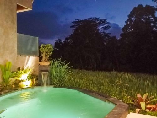 Kolam renang di atau dekat dengan Umah Geina Ubud
