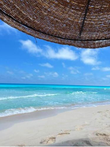 قريه اللوتسLotus for families only