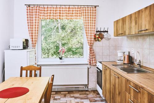 Η κουζίνα ή μικρή κουζίνα στο Apartmány Pod Přehradou