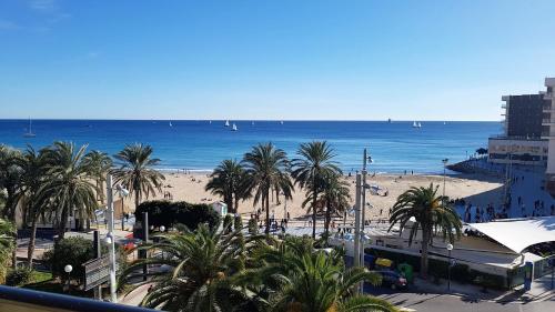 a view of a beach with palm trees and the ocean at Port-Beach Alicante 1 in Alicante