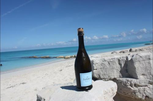 a bottle of wine sitting on a rock on the beach at Luxury Grace Escape in Long Bay Hills