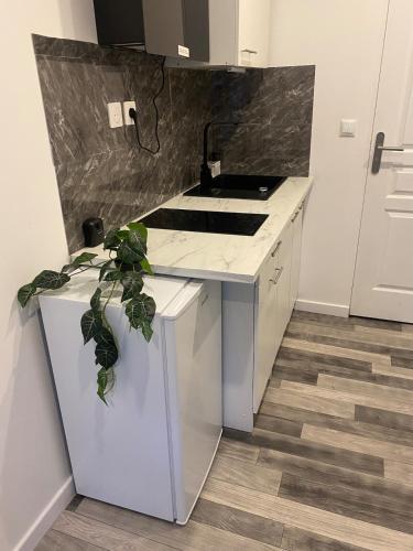 une cuisine avec un évier et un plan de travail dans l'établissement Chez Nenette & Didi Cozy Independent Duplex, à La Celle-sous-Gouzon