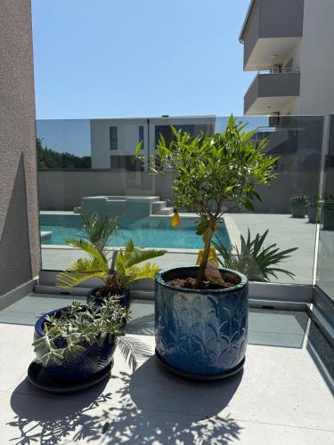 two potted plants sitting on top of a balcony at Villa Vida, Medulin - Bazen i jacuzzi in Medulin