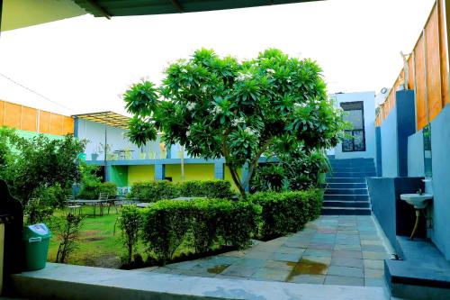 Κήπος έξω από το Kothi villa