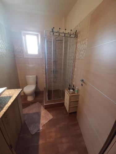 Ένα μπάνιο στο Vaios House