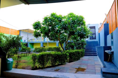 Κήπος έξω από το Kothi villa