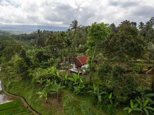 an aerial view of a house on a hill with trees at Organic Rice Harmony in Tetebatu