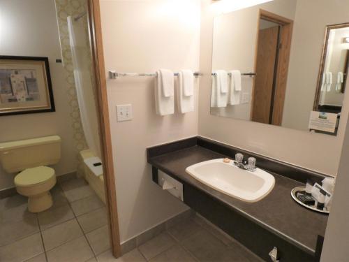 a bathroom with a sink and a toilet and a mirror at Dilworth Inn Kelowna in Kelowna