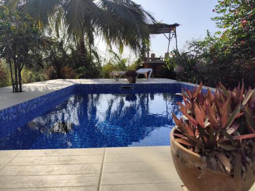 a swimming pool in a backyard with a palm tree at AKINE TI KASSO piscine in Diembéreng