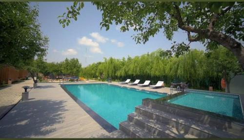 a swimming pool with lounge chairs and a tree at The Orchard Retreat & Spa in Srinagar