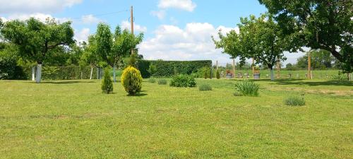 a garden with trees and plants in a field at Kuća za odmor Milan in Šarengrad