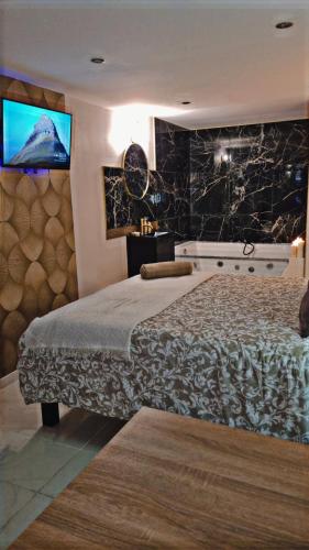 une chambre d'hôtel avec un lit et une télévision dans l'établissement Très belle dépendance relaxante totalement indépendante, à Tours